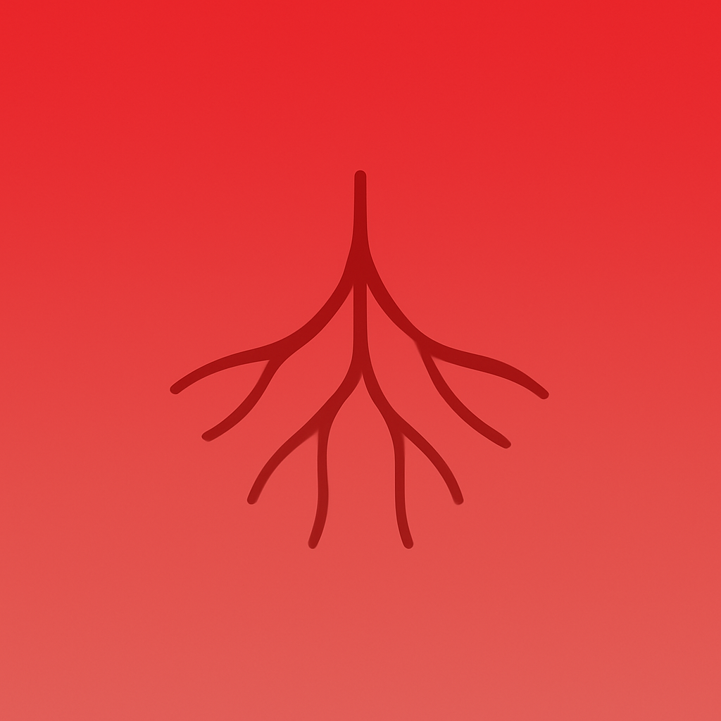 Meditació de seguretat